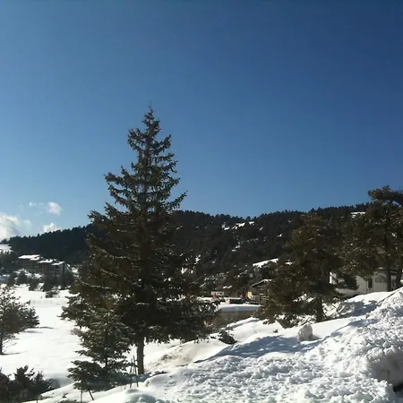 Face Aux Pistes 그레올리에 레 네쥬