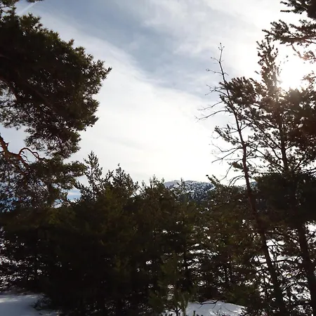 Face Aux Pistes