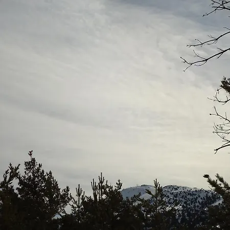 Face Aux Pistes 그레올리에 레 네쥬