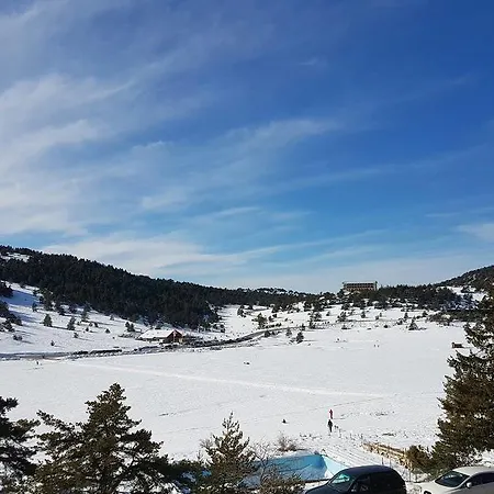 Face Aux Pistes 그레올리에 레 네쥬